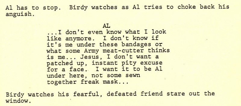 Birdy - script page section