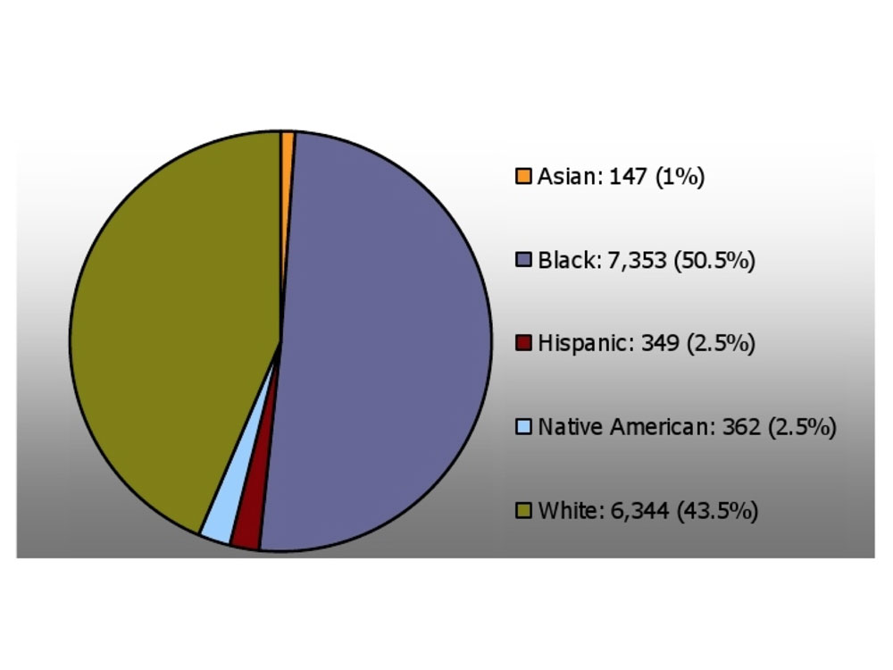 country pie chart death penalty